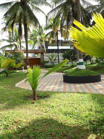 The entrance to a large property, where a curved driveway is flanked by a variety of palm species and a manicured lawn, creating a welcoming and impressive approach.