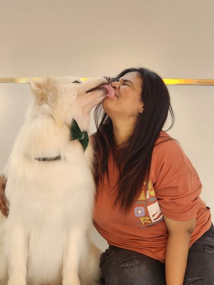 Furrybells Pet Grooming - Pet Grooming (Dogs & Cats) The Comfort-First Philosophy photo 27