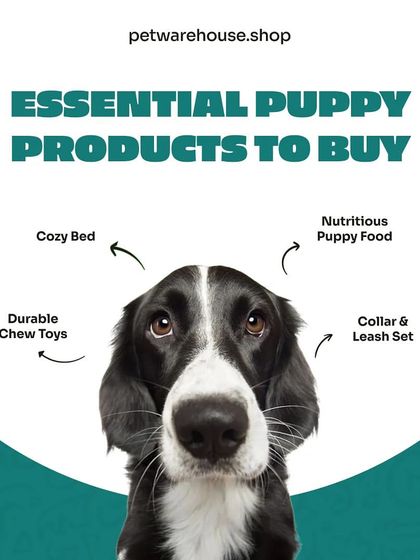Pet Warehouse - Pet Supplies Toys, Accessories & Essentials photo 7