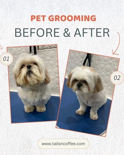 Pet Grooming