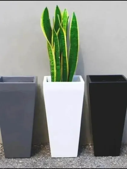 For a sleek, contemporary look, these tall, square fibre planters are an excellent choice. They are available in classic colours like grey, white, and black to match any minimalist decor scheme.
