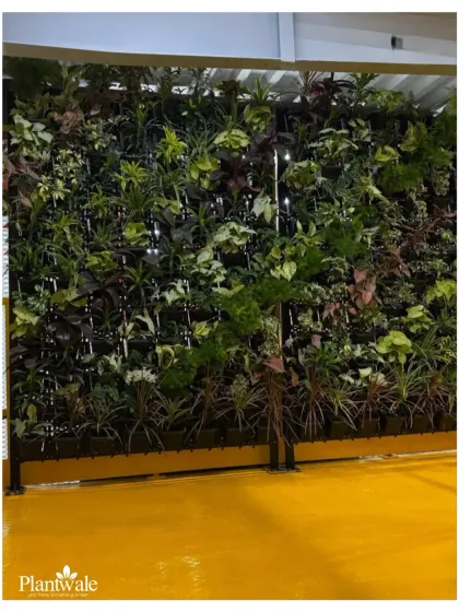 A large-scale vertical garden installed in a commercial building. The living wall is situated above a bright yellow floor, creating a bold and modern statement that enhances air quality and employee well-being.