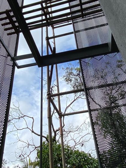 A moment where the new structure frames the old tree and the sky. Our design philosophy seeks to preserve and enhance the connection to nature, even in dense urban environments, by creating these carefully considered views.