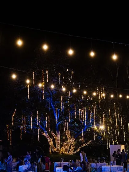 An outdoor reception setup illuminated by strings of fairy lights and dramatic lighting on the trees. We love using lighting to create a warm, magical ambiance for evening celebrations.