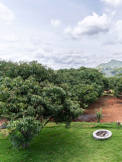 A view from the upper level overlooking the mango orchard and the Banthamari state forest beyond. The design carefully frames views of the surrounding landscape, connecting the home to its wider environment.