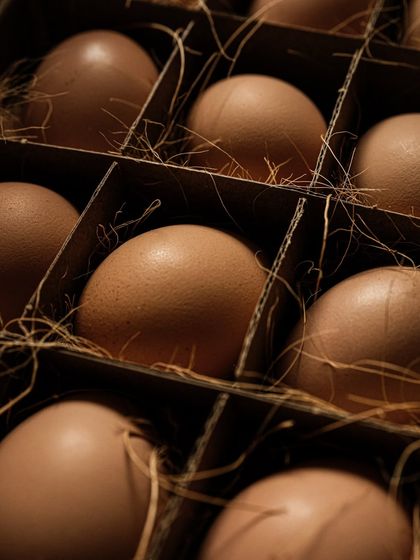 Food & Beverage Stories photo 15