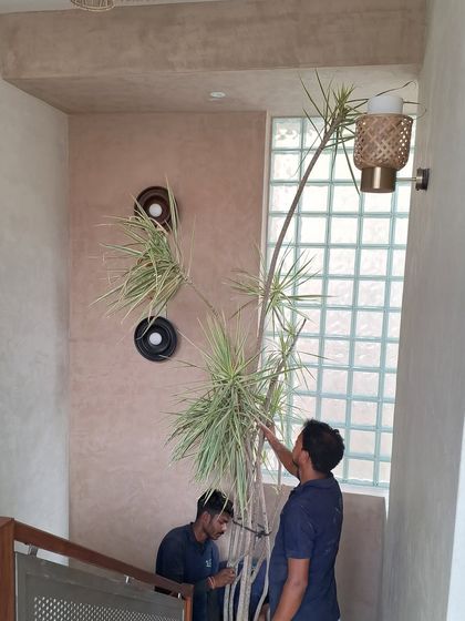 Make My Garden - Garden Design & Landscaping Indoor Green Spaces photo 5