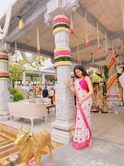 Sangeet & Wedding Performances photo 6