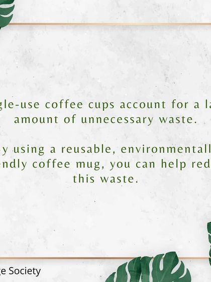 Simple Swaps for a Plastic-Free Home photo 7