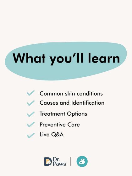 The Pack - Pet Parent Education & Workshops Expert-Led Online Masterclasses photo 41