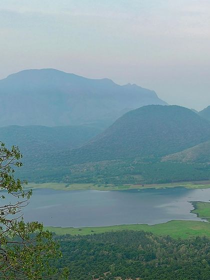 The hazy, layered mountains of Kodaikanal seen from a distance, creating a beautiful, soft landscape.