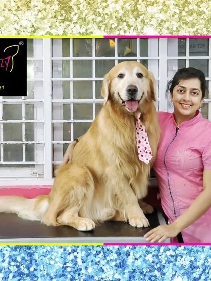 Fuzzy Wuzzy - Pet Grooming & Spa Spaniels, Retrievers & Large Breed Grooming photo 37