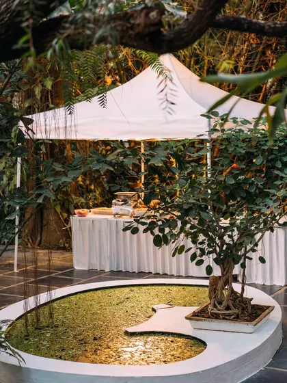 The lily pond and bonsai feature in our stone courtyard. This unique spot provides a tranquil corner for guests to relax or a beautiful backdrop for detailed photographs.