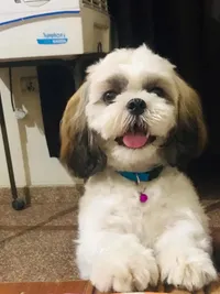 Bath & Brush