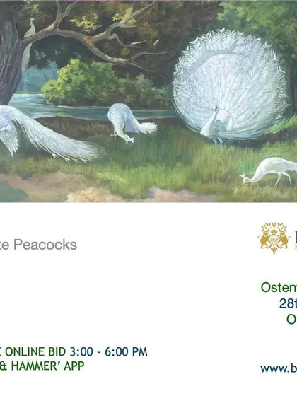 This breathtaking oil on board by F.M. Soofi, an under-appreciated master of wildlife art, features a muster of white peacocks. The piece is an ode to the bird's symbolism of spirituality and rebirth, and showcases the kind of rare, magnificent paintings I seek for discerning collectors.