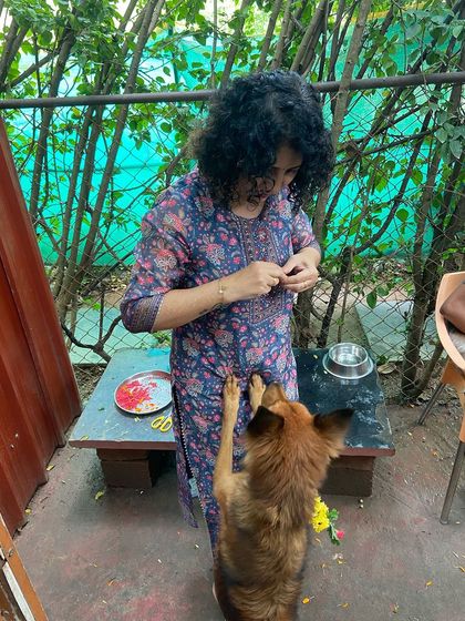 Petspace - Dog Daycare Celebrations & Paw-ties photo 3