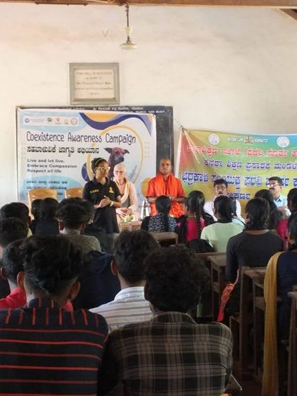 Charlie's Animal Rescue Centre - Community Outreach & Education Building a Kinder Generation: Youth & School Programs photo 17