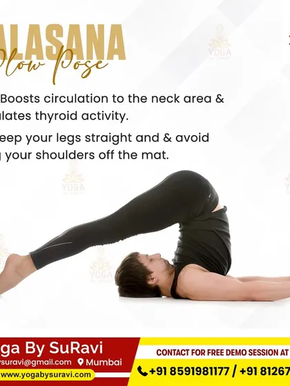 Halasana (Plow Pose) is a key asana for thyroid health. It boosts circulation to the neck area and stimulates thyroid activity.