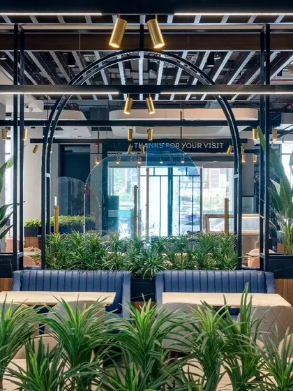 A view from the seating area at Haldiram's looks out towards the entrance. The design uses lush greenery and warm walnut-cherry finishes to create a welcoming atmosphere that invites engagement.