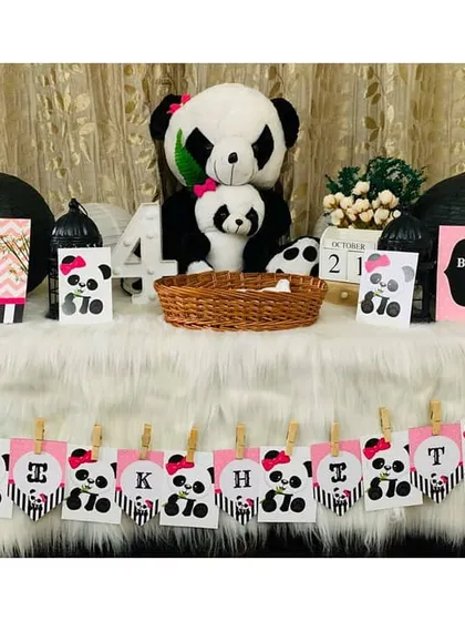 An adorable panda themed setup for a 4 month milestone photoshoot. These smaller prop packages are perfect for capturing your baby's monthly progress at home.