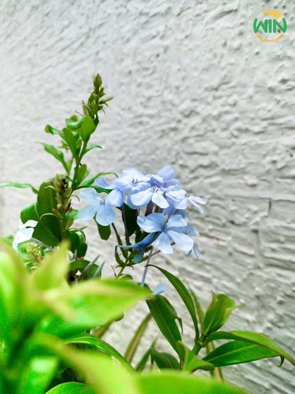 Commercial & Corporate Spaces photo 15