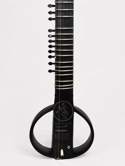 Electric Sitars (Zitars) photo 10