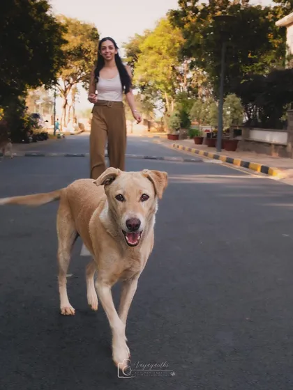 Boop the indie dog leading the way on a walk with his human. A great action shot that captures movement and a happy, confident dog.