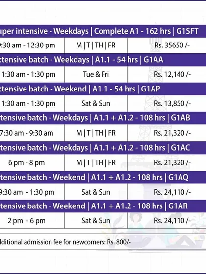This table shows the various batch options for our beginner level courses, including Super Intensive, Extensive, and Intensive formats for both weekday and weekend schedules.