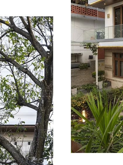 A collage showing the integration of the home with its surrounding landscape, including existing trees and newly planted greenery.