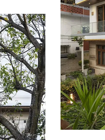 A collage showing the integration of the home with its surrounding landscape, including existing trees and newly planted greenery.