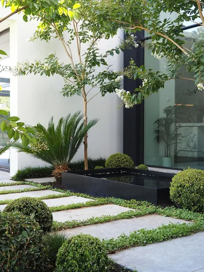 Our modern landscape designs focus on clean lines and a harmonious blend of natural and structural elements. This entryway features geometric stone pavers interspersed with ground cover, a sleek black water feature, and carefully selected plants like sago palms and boxwood spheres.