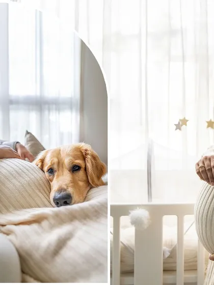 A collage showcasing the journey from a dog resting on a baby bump to a sonogram held near a crib. It tells the story of a family growing, with their pet at the heart of it all.