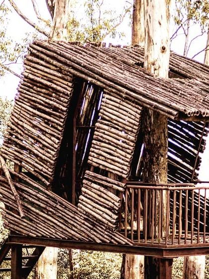 I found this unique bamboo treehouse tucked away in the woods near Nandi Hills. The rustic design and the way it's built into the trees make it a fascinating subject that blends architecture with nature.