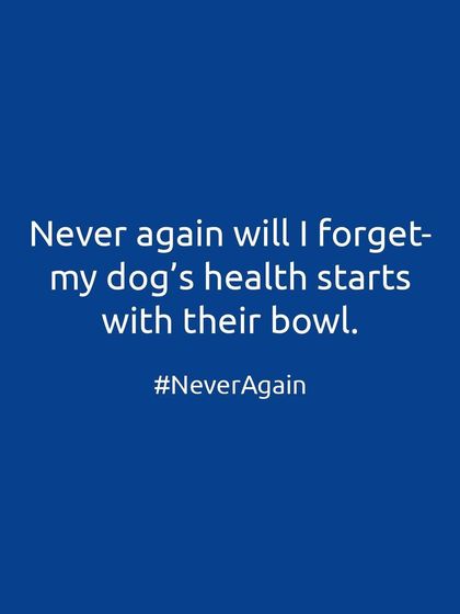 Never again will I forget that my dog's health starts with their bowl. It's not just food; it's their fuel, their medicine, and the foundation of their life.