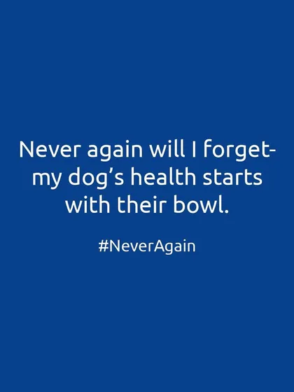 Never again will I forget that my dog's health starts with their bowl. It's not just food; it's their fuel, their medicine, and the foundation of their life.