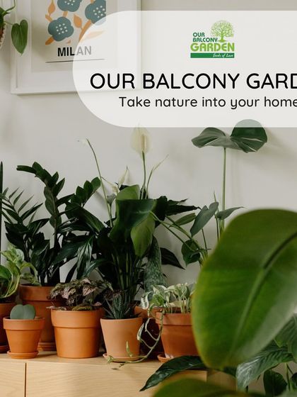 Our motto is simple: Take nature into your home. A collection of happy, healthy plants can bring so much life and peace to your space.