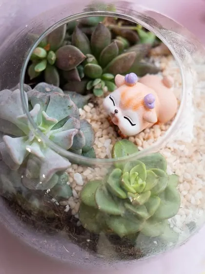 A close-up of a beautiful terrarium favor, featuring succulents and a tiny sleeping fox figure.