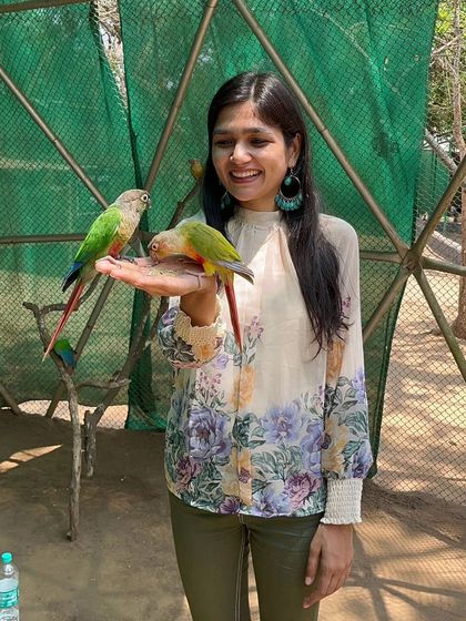A moment of pure joy as colorful parrots eat from my hand. These simple, beautiful interactions with animals are always memorable.