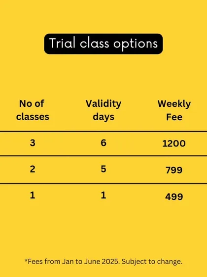 Not ready to commit to a full month? I offer trial class options so you can see if my teaching style is the right fit for you.