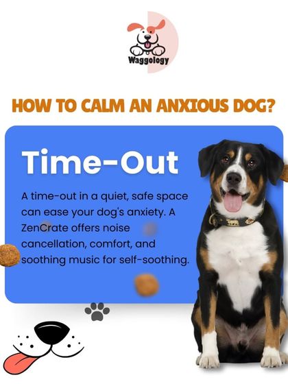 For an anxious dog, having a quiet, safe space is crucial. A time-out in a comfortable crate or room can help them self-soothe. Some special crates even offer noise cancellation and calming music.