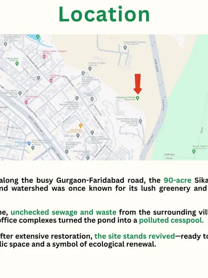 Located along the busy Gurgaon-Faridabad road, the 90-acre Sikanderpur forest was once a polluted, forgotten area. This map shows its location and the story of its revival.