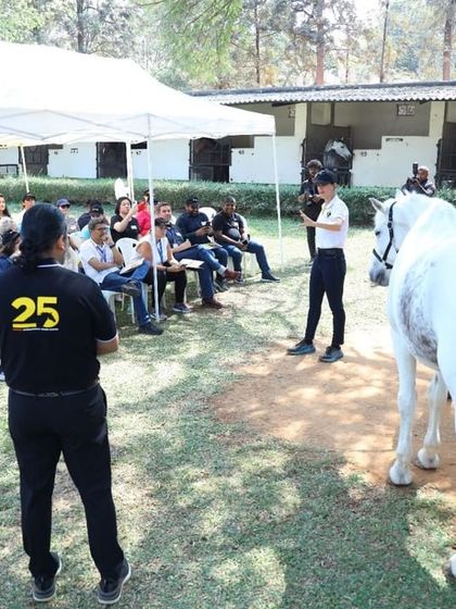 A trainer leads an Equine Assisted Learning session for IBM employees with a calm, majestic white horse. Our programs are facilitated by certified experts who guide the learning process.