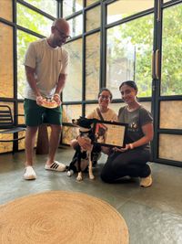 Dog Training & Behavior Modification