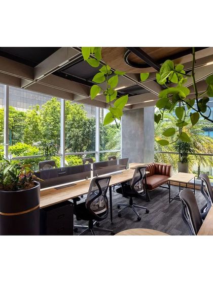 Workstations at the Paras Healthcare office are positioned along the windows to maximize exposure to daylight and green views. Hanging planters and integrated greenery are key biophilic gestures that nurture mindfulness and ease.