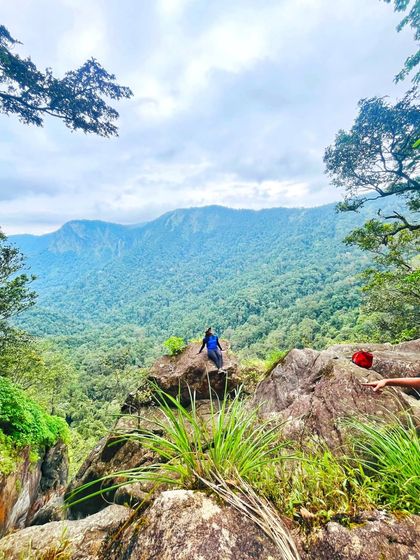 A trekker sits on a rock, taking in the vast expanse of the lush green forest below.