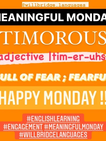 Here is another vocabulary builder from my "Meaningful Monday" series. Learning and using words like 'timorous' can make your English expression more precise and impressive.