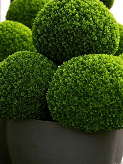 A collection of artificial topiary balls. For clients seeking a zero-maintenance option, we offer realistic artificial plants that provide a consistent, manicured look year-round.