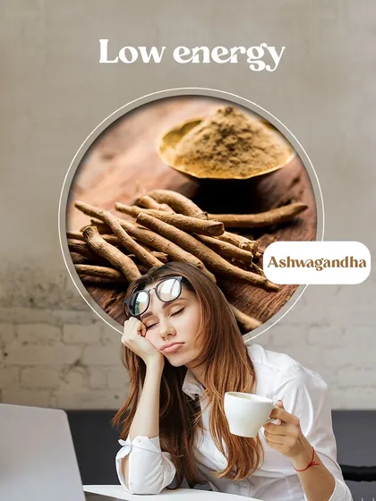 If you're constantly feeling tired and drained, Ashwagandha can help. This powerful adaptogenic herb is known for boosting energy levels, fighting fatigue, and improving overall resilience, making it a perfect support for a busy lifestyle.