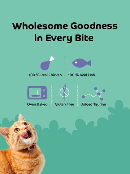 Zigly - Pet Supplies Our Exclusive Products photo 14