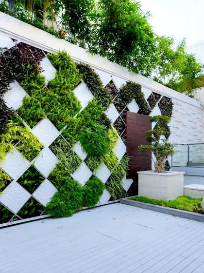 A wider view of the geometric green wall, showing its integration with the surrounding architecture. The design provides a stunning natural backdrop for the patio area, blending the built environment with a vibrant, living element.